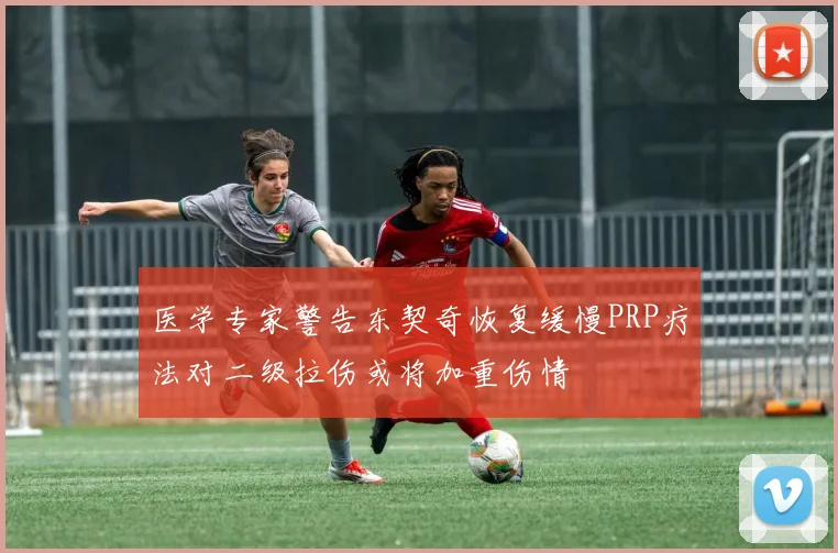 医学专家警告东契奇恢复缓慢PRP疗法对二级拉伤或将加重伤情