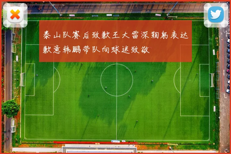 泰山队赛后致歉王大雷深鞠躬表达歉意韩鹏带队向球迷致敬